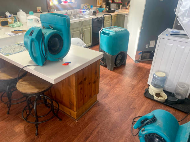 Best Flood damage cleanup  in Cherry Valley, CA