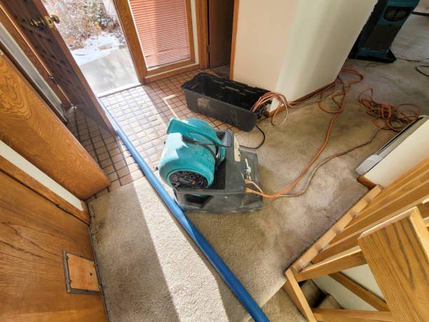 Best Water damage contractors near me  in Cherry Valley, CA