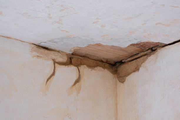 Best Mold removal after water damage  in Cherry Valley, CA