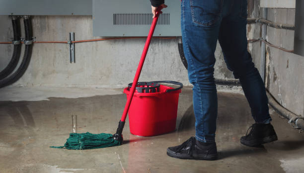 Best Flood restoration services  in Cherry Valley, CA