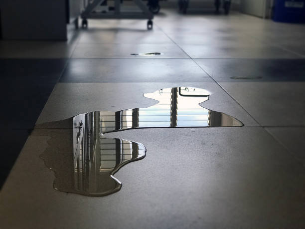 Professional Water damage restoration in CA