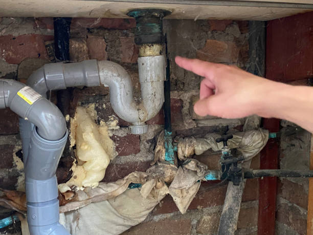 Best Professional water damage repair  in Cherry Valley, CA