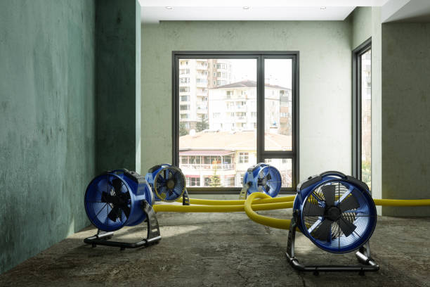 Best Water damage restoration near me  in Cherry Valley, CA